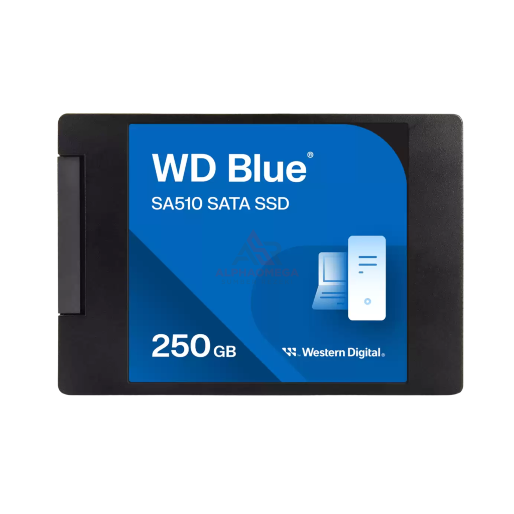 WD Blue SA510 SATA 2.5 Inch SSD 250GB SR555/SW440MB/s Original