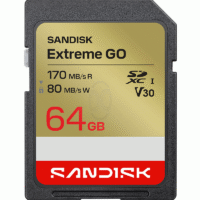 SanDisk Extreme GO SD Card 64GB Read 170MBs Write 80MBs 4K - SDSDXGN-064G-GNCIN
